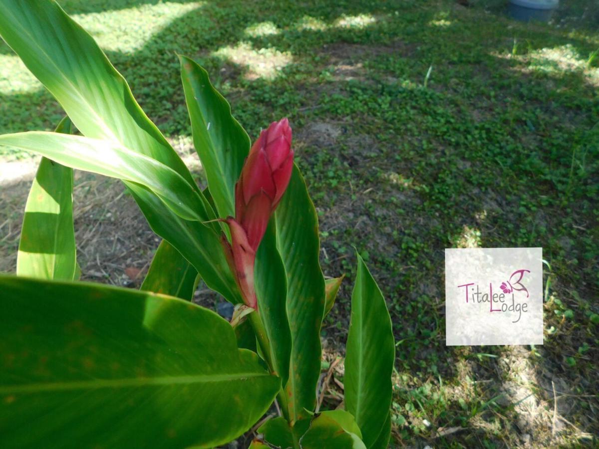 Titalee Lodge 3 Villas Autour D'Une Piscine Saint-Francois (Grande-Terre) Exterior foto