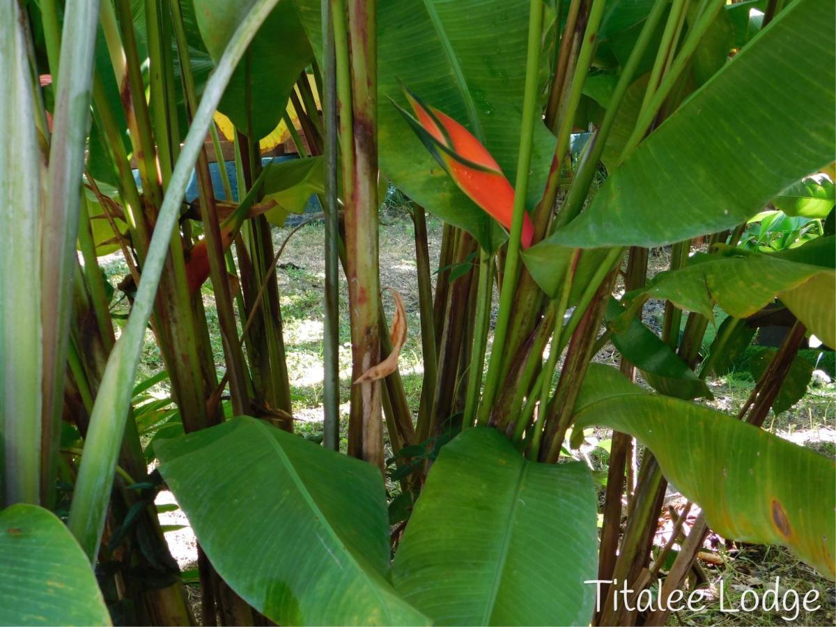 Titalee Lodge 3 Villas Autour D'Une Piscine Saint-Francois (Grande-Terre) Exterior foto