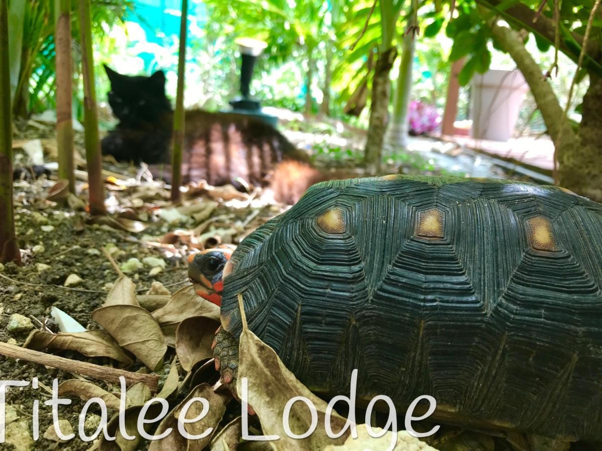 Titalee Lodge 3 Villas Autour D'Une Piscine Saint-Francois (Grande-Terre) Exterior foto